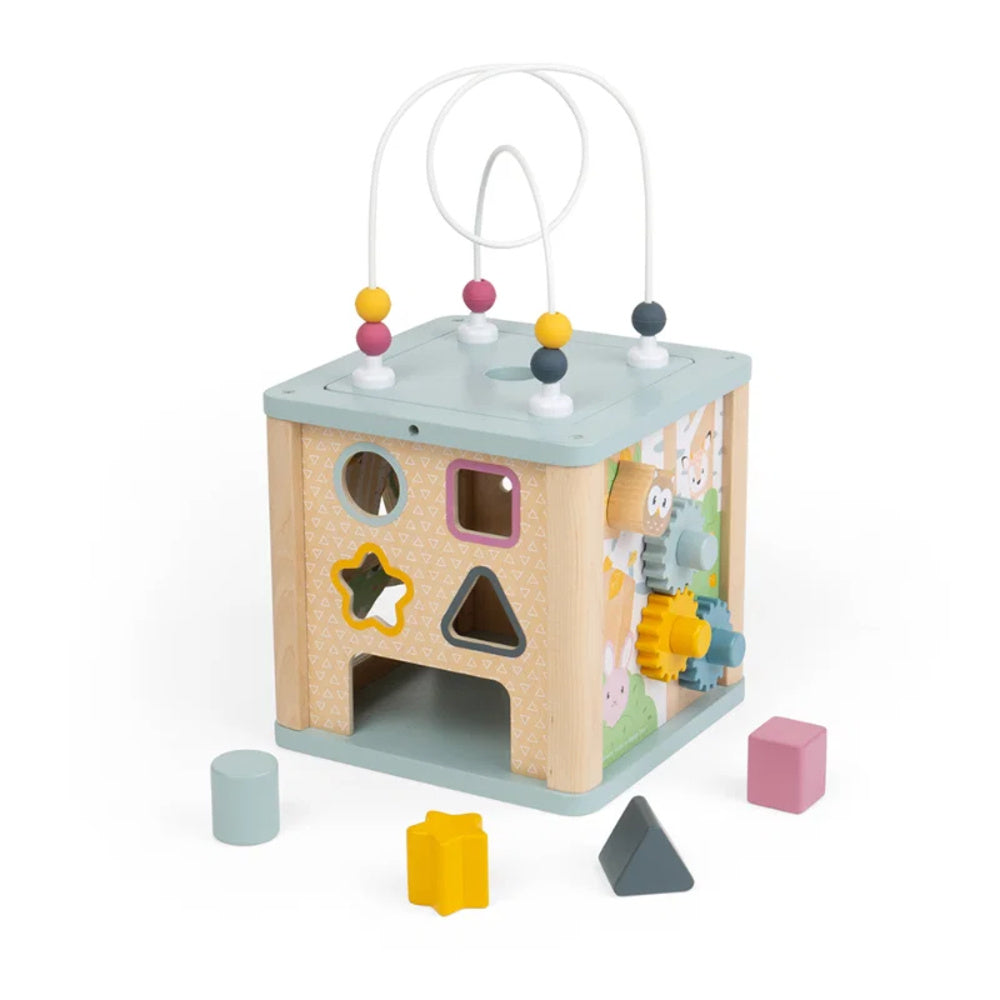 Bigjigs Activiteitenkubus