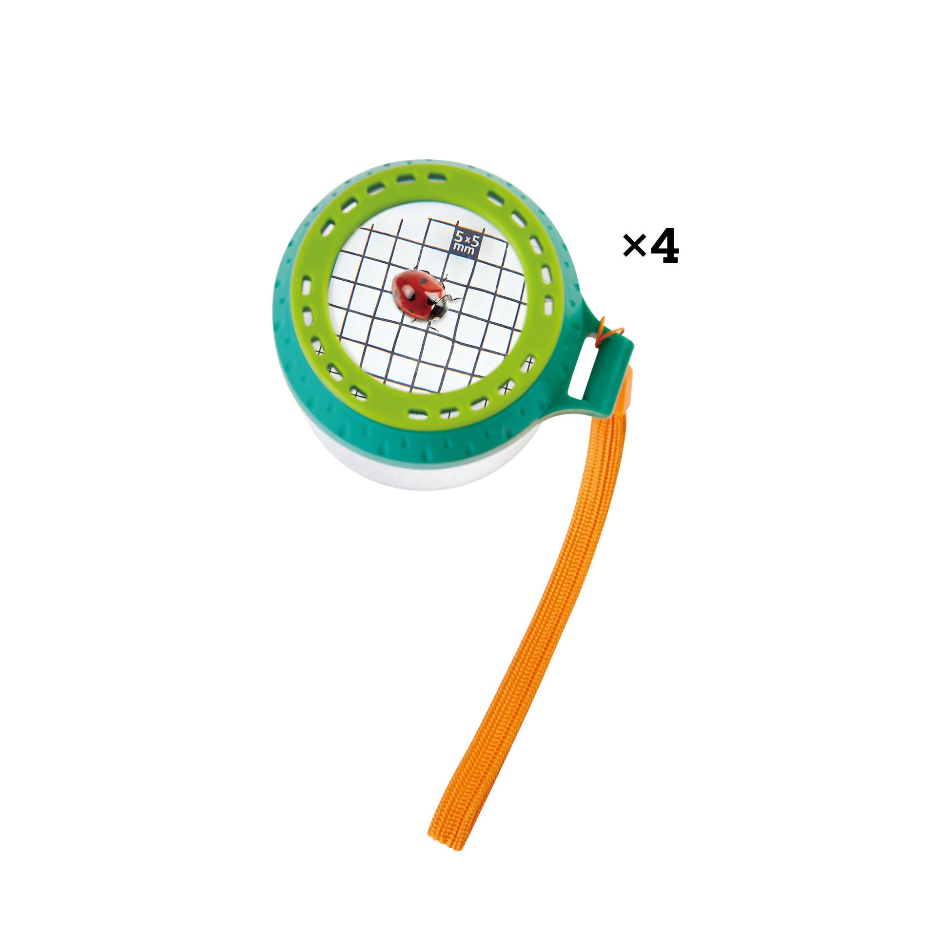 Hape Insecten Potje E5577_5
