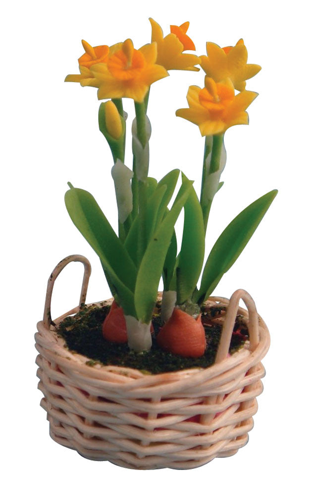d1122