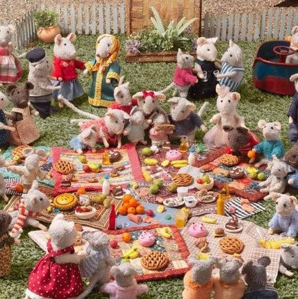 Het Muizenhuis Boek De Picknick 1