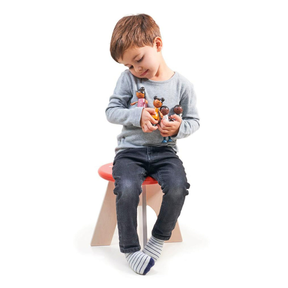 Tender Leaf Toys Poppenhuis Familie  Humming Bird 1